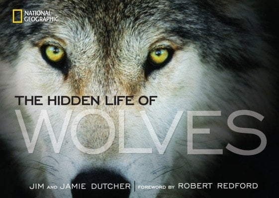 hidden-life-of-wolvesjpg-b25e25631f568db6